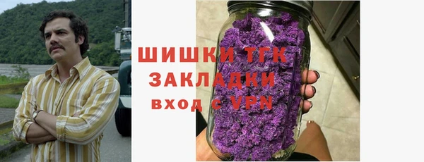 ECSTASY Каменка
