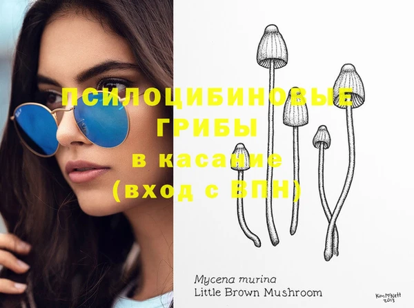 гашиш Каменногорск